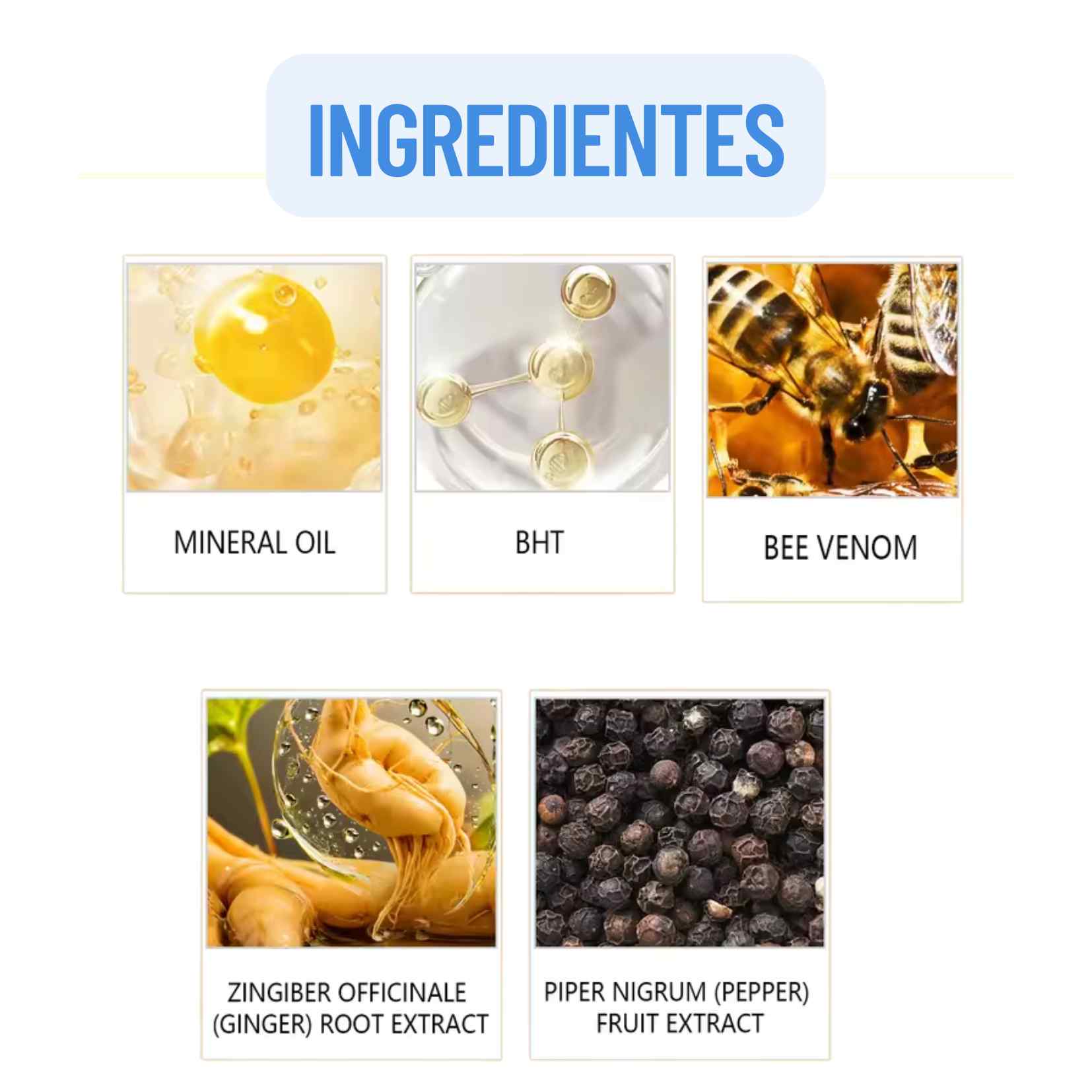 Encabezado