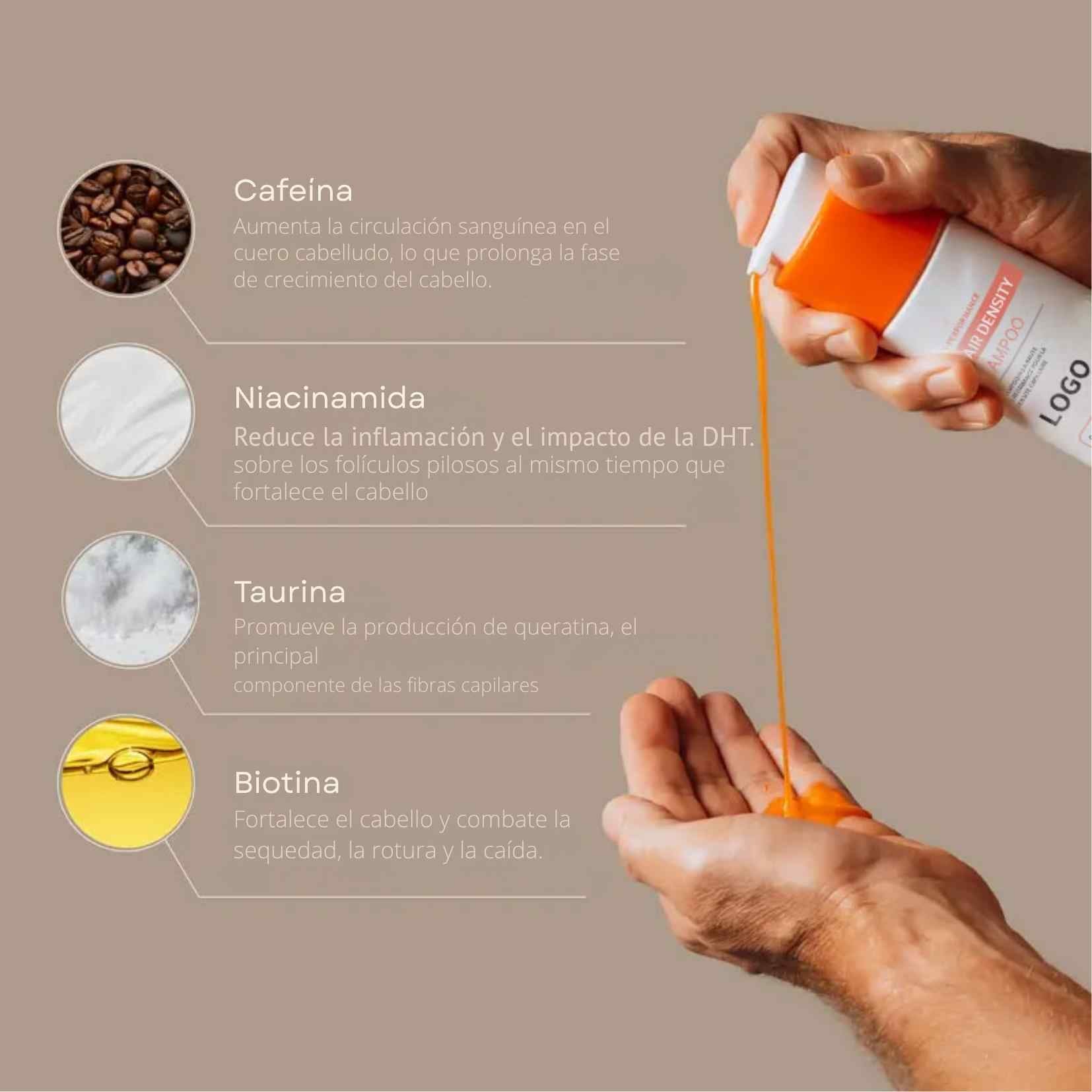 Encabezado
