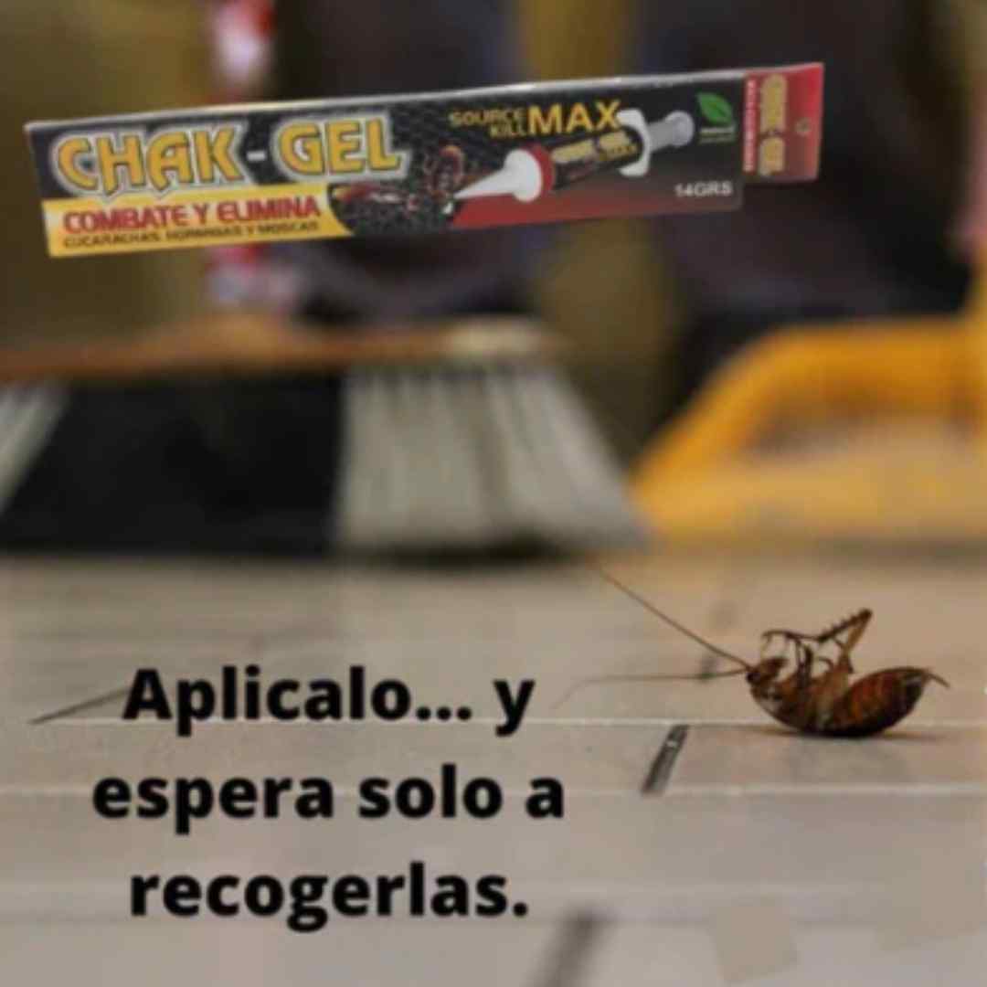 Encabezado