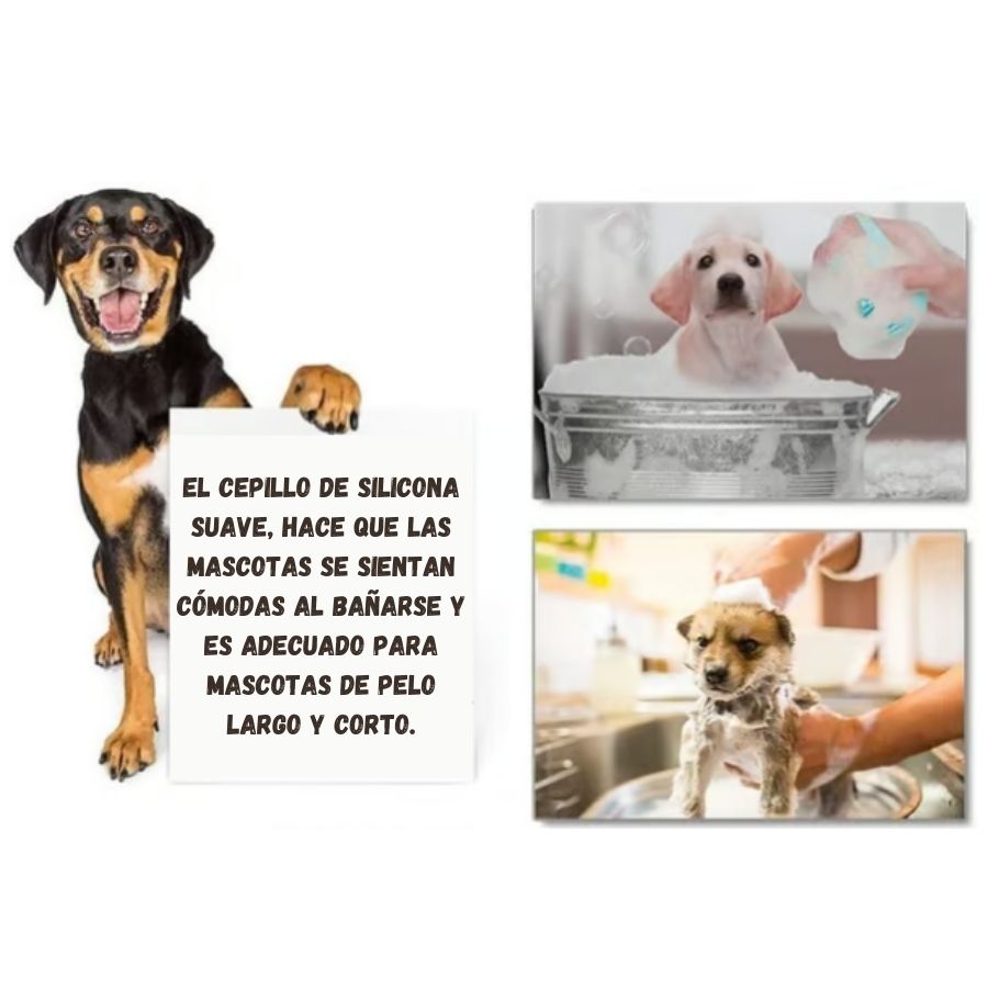 ¡2x1! Baño Mágico PataLimpia 🛁 – El cepillo que hace del baño una experiencia top para tu peludo.