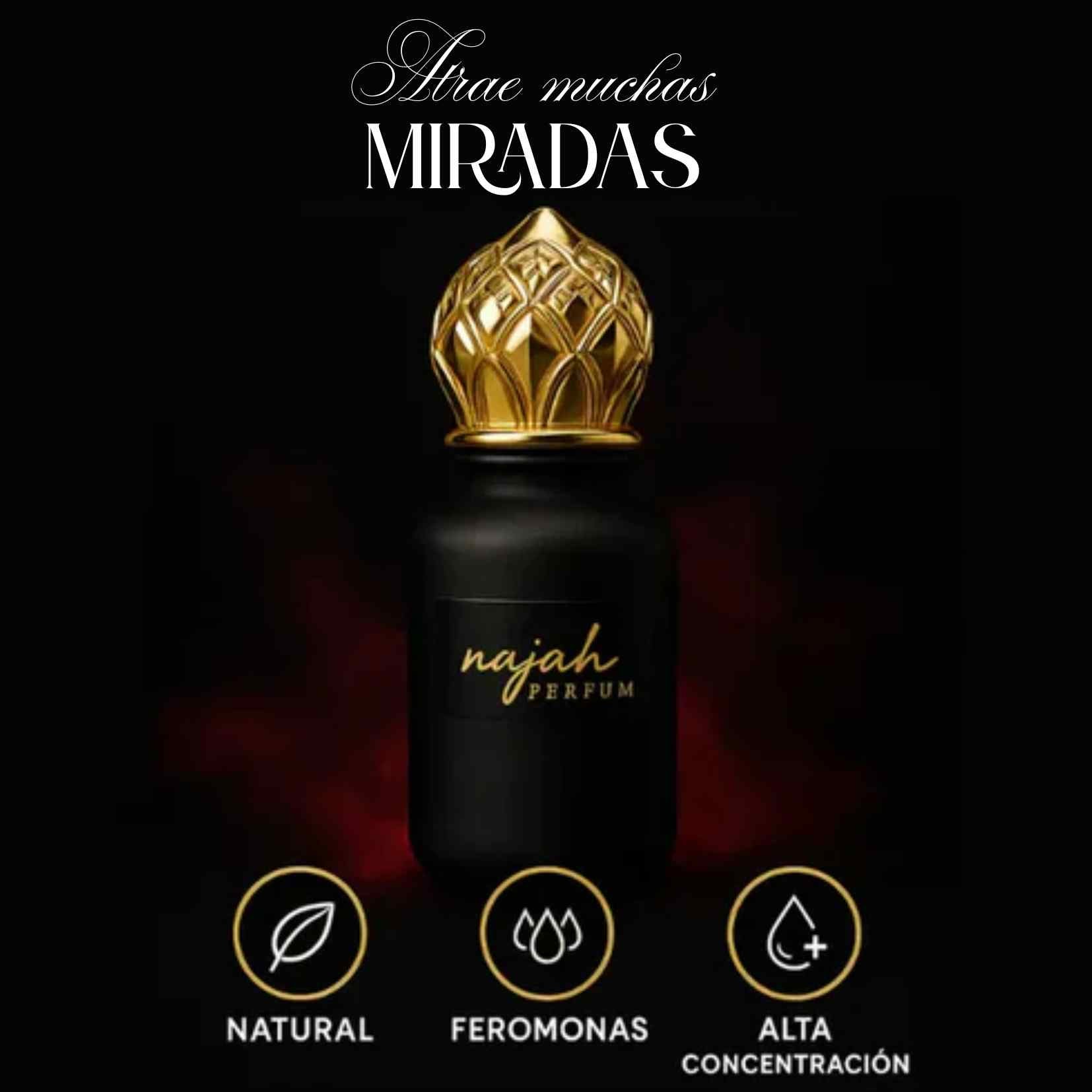 Encabezado