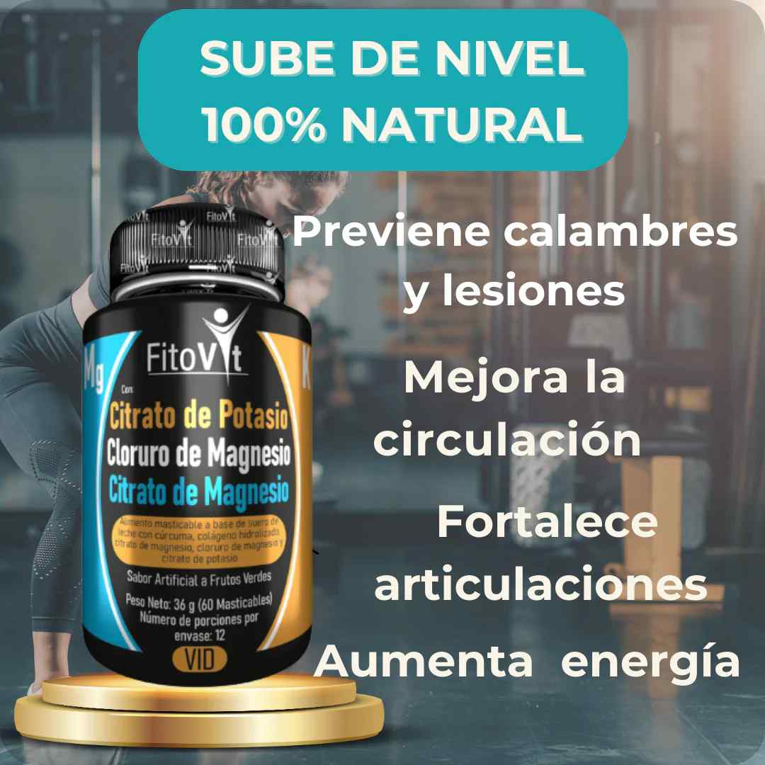 Encabezado