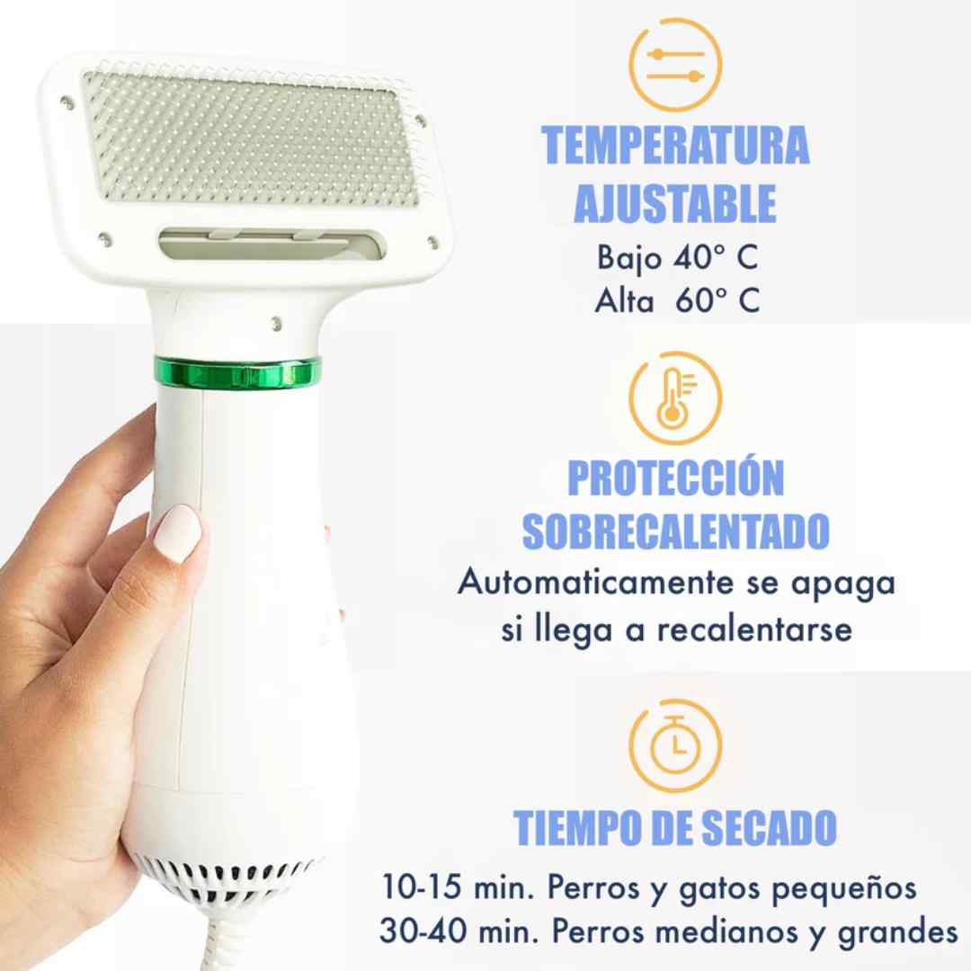 Encabezado