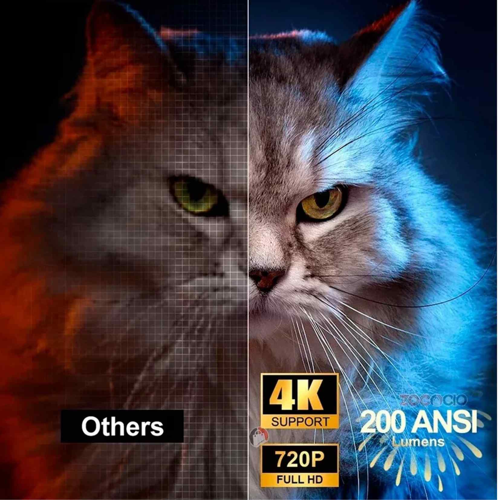 Encabezado