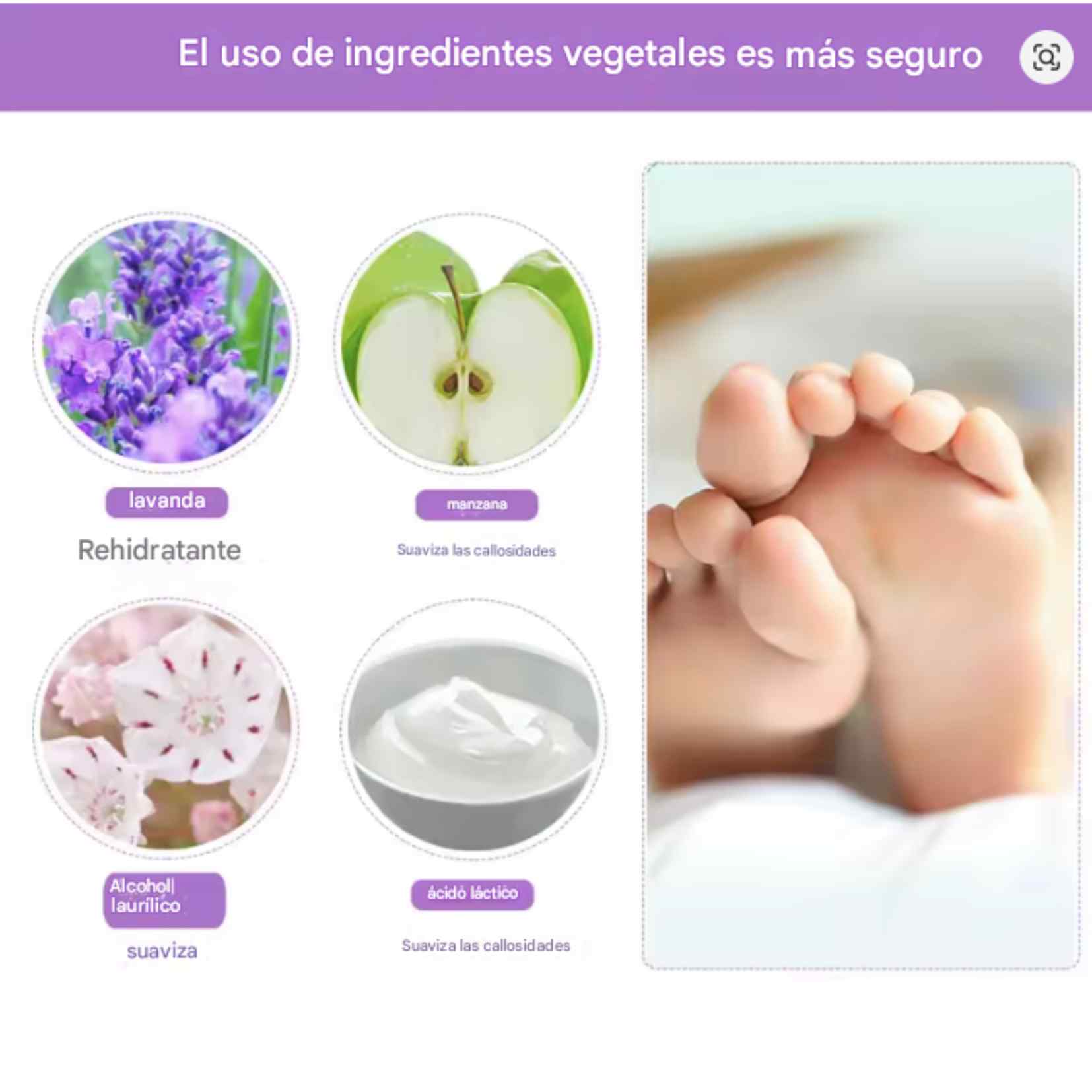 Encabezado