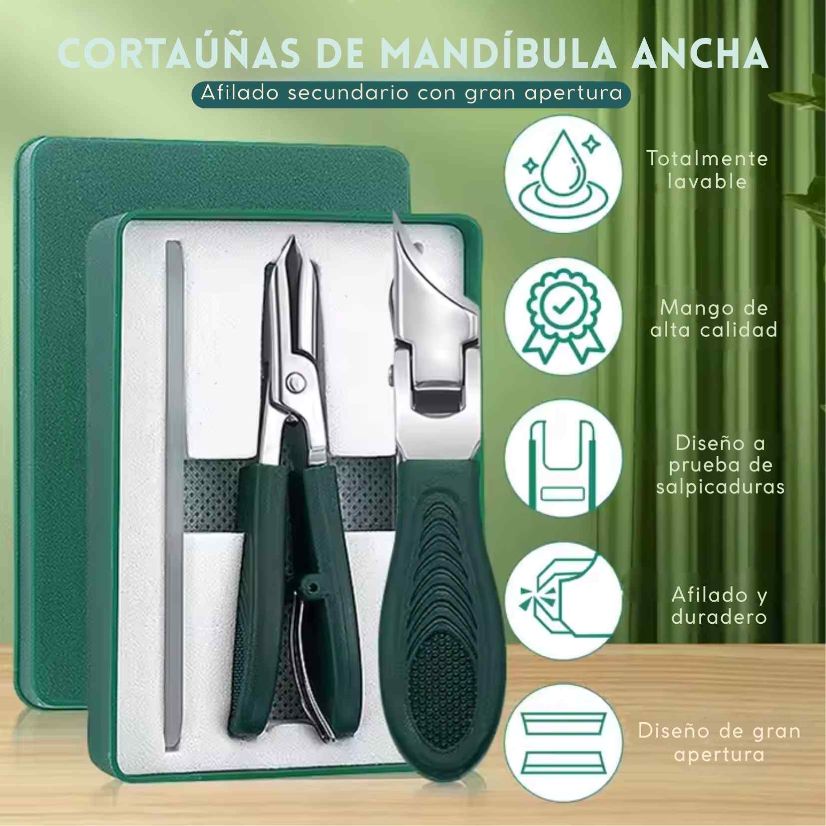 Encabezado