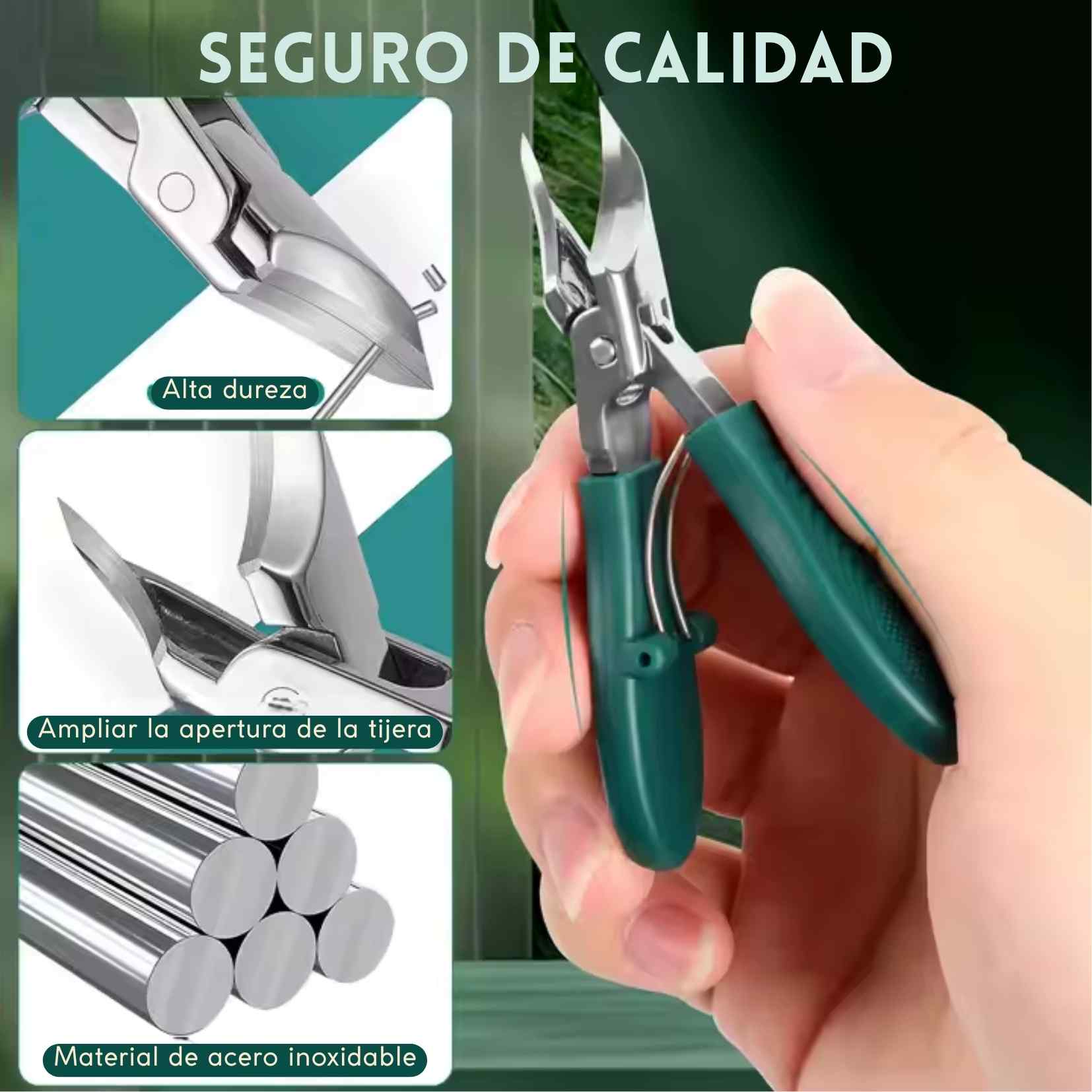Encabezado