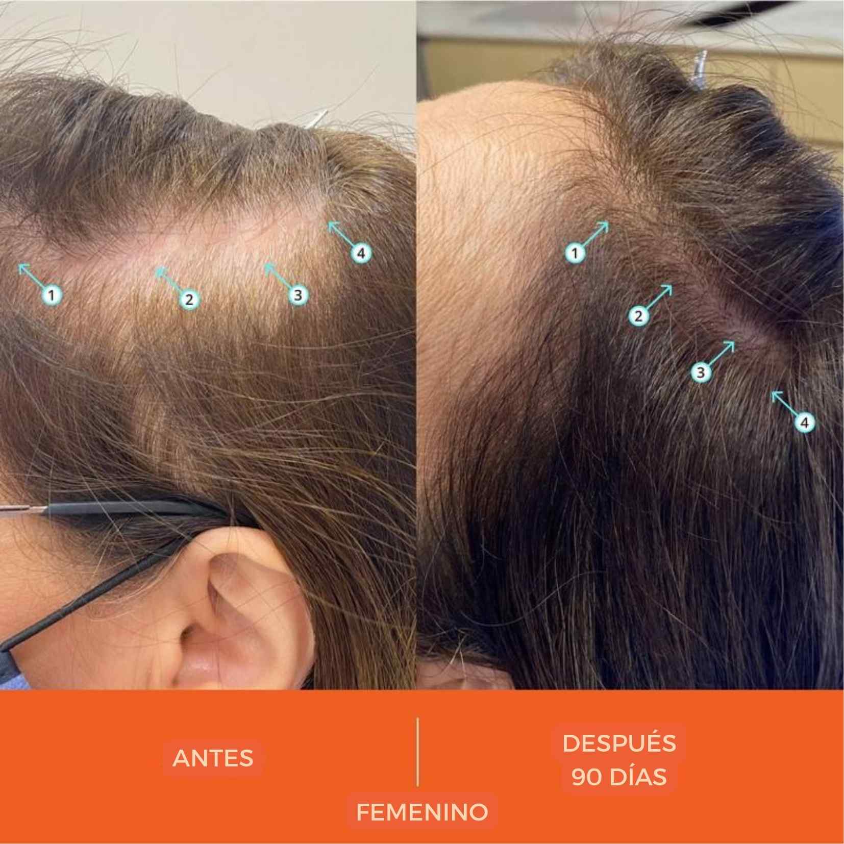 Encabezado
