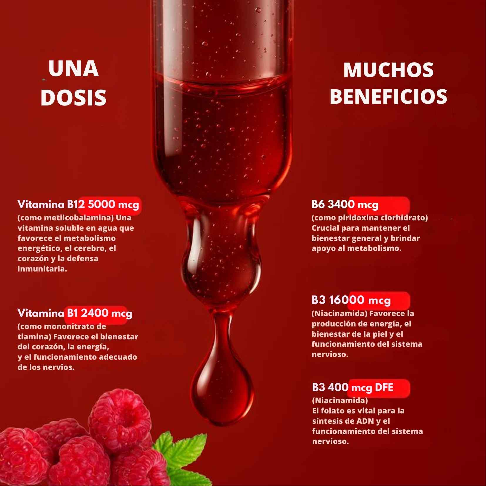 Encabezado