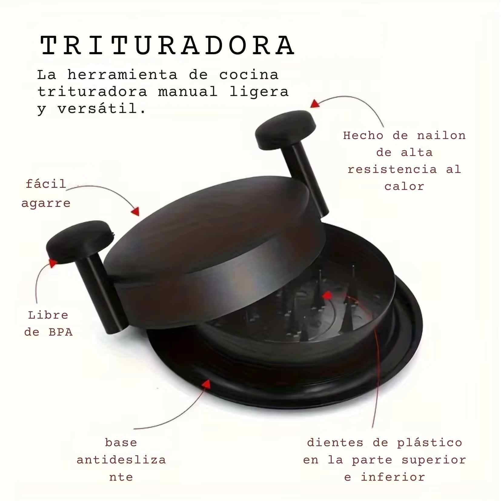 Encabezado