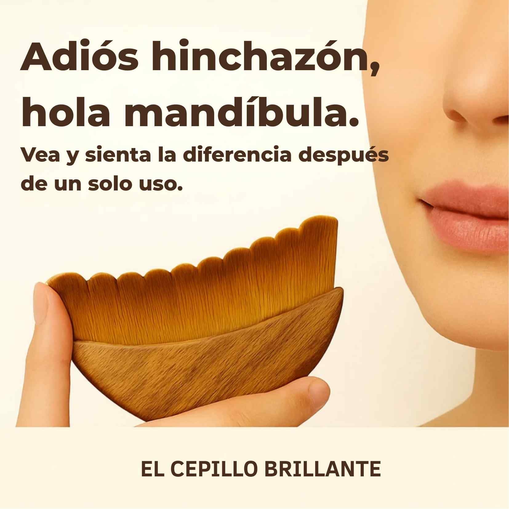 Encabezado