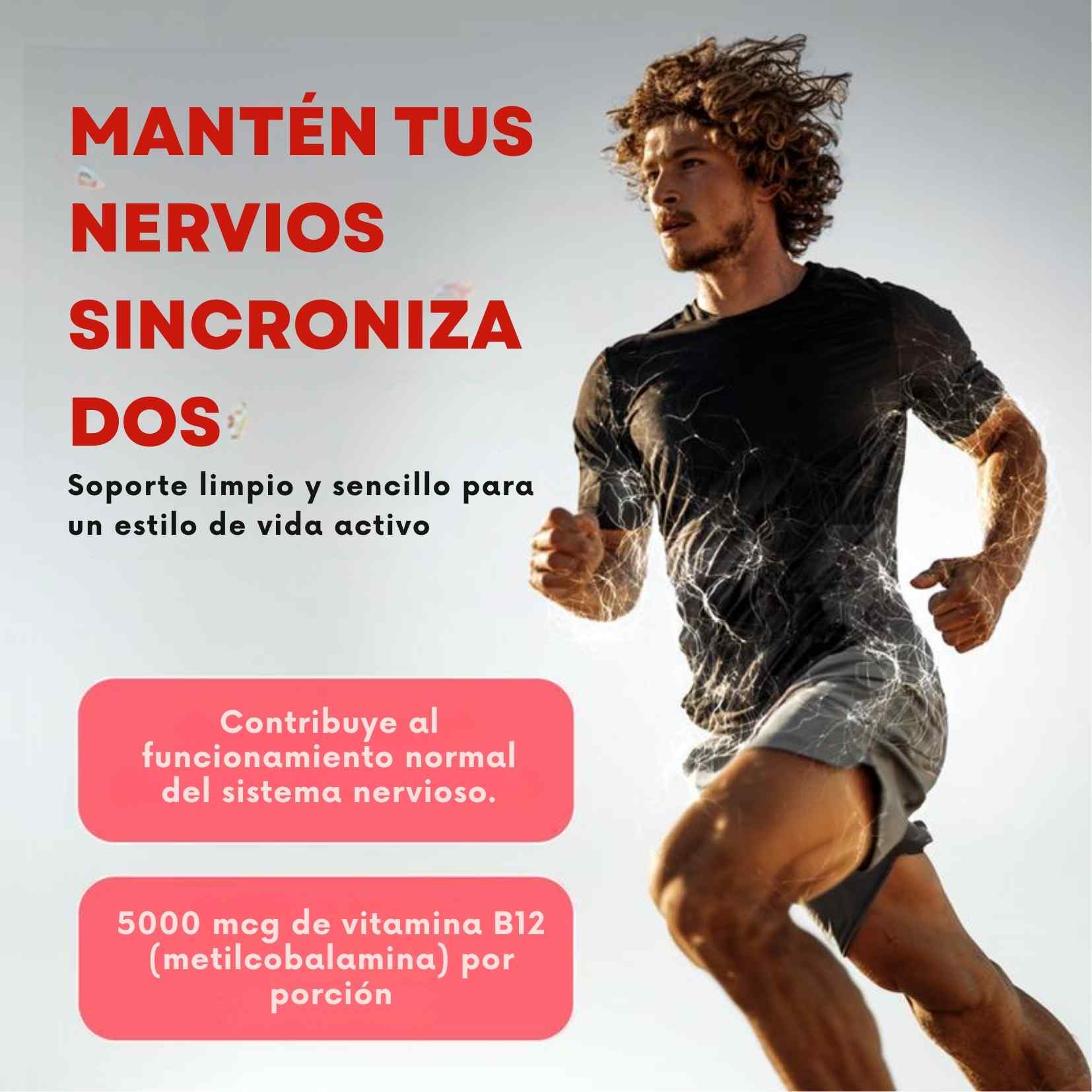 Encabezado