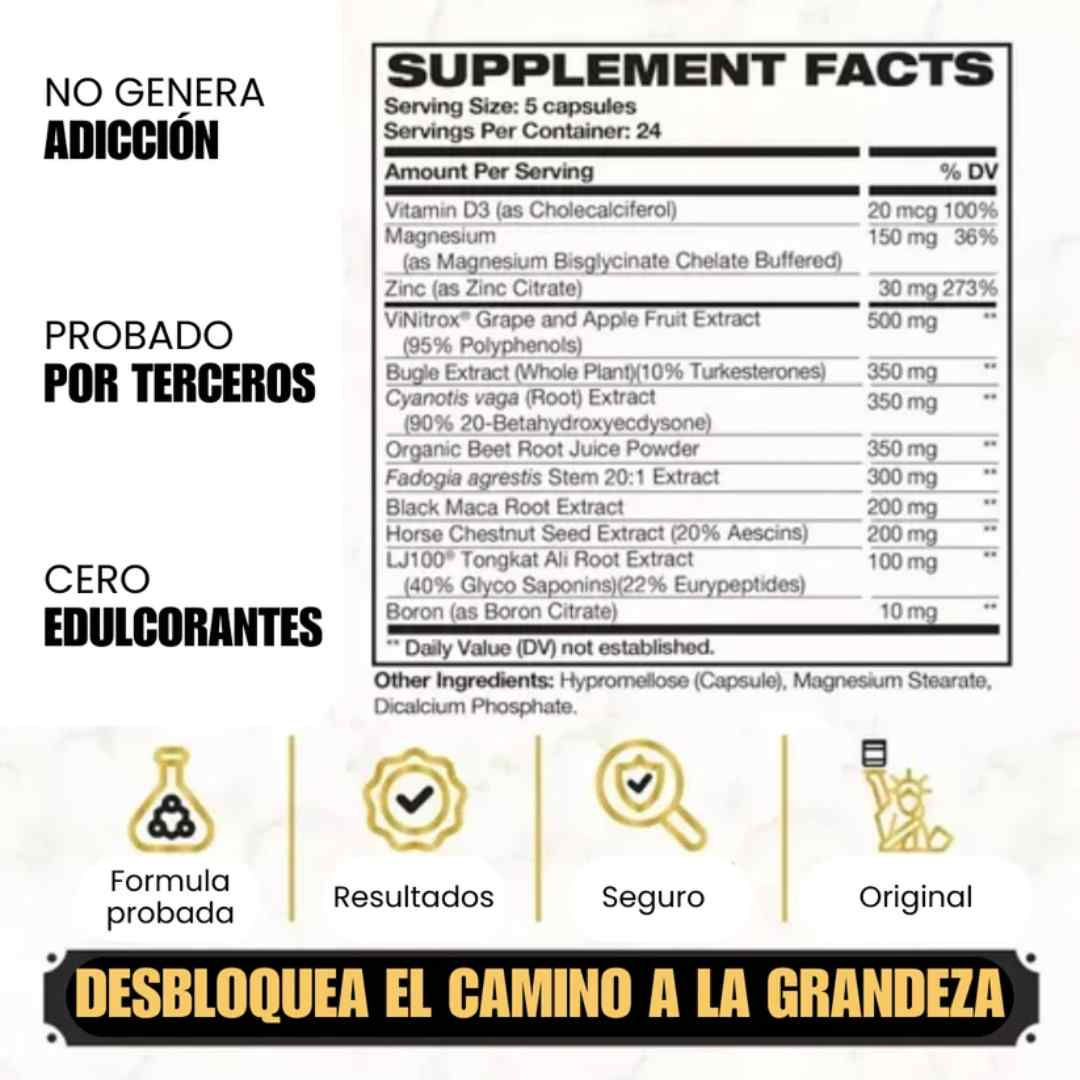 Encabezado