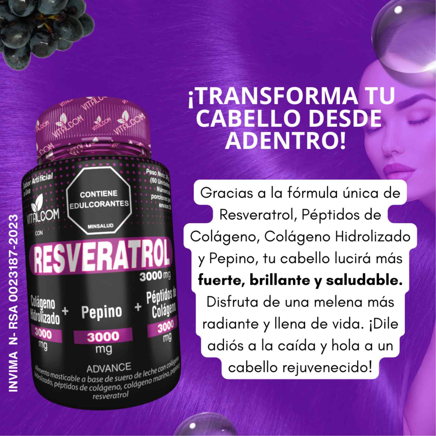 Encabezado