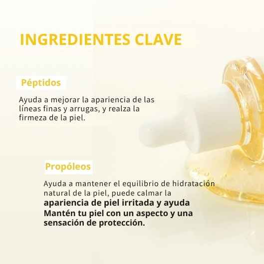 Encabezado