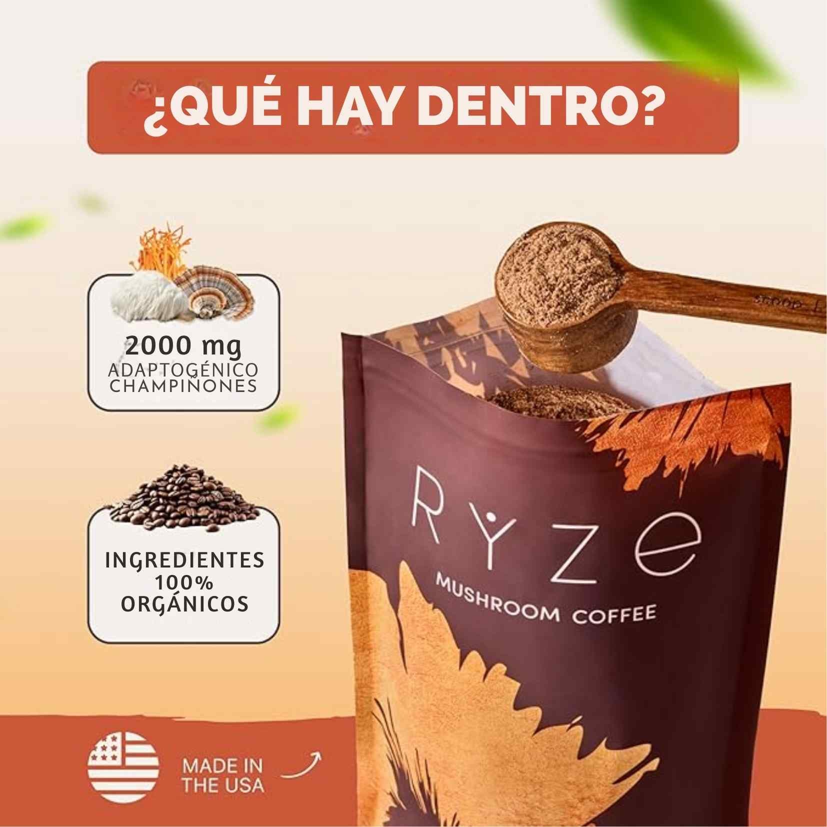 Encabezado