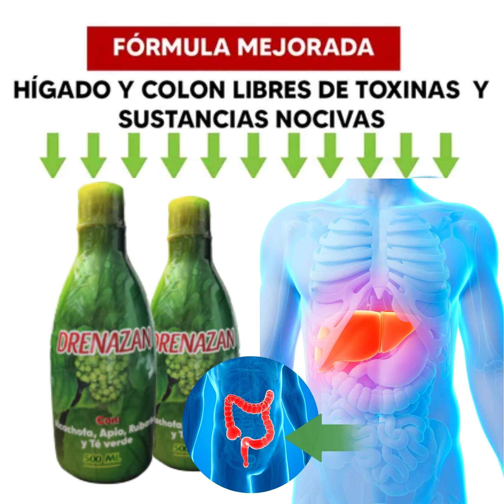 Encabezado