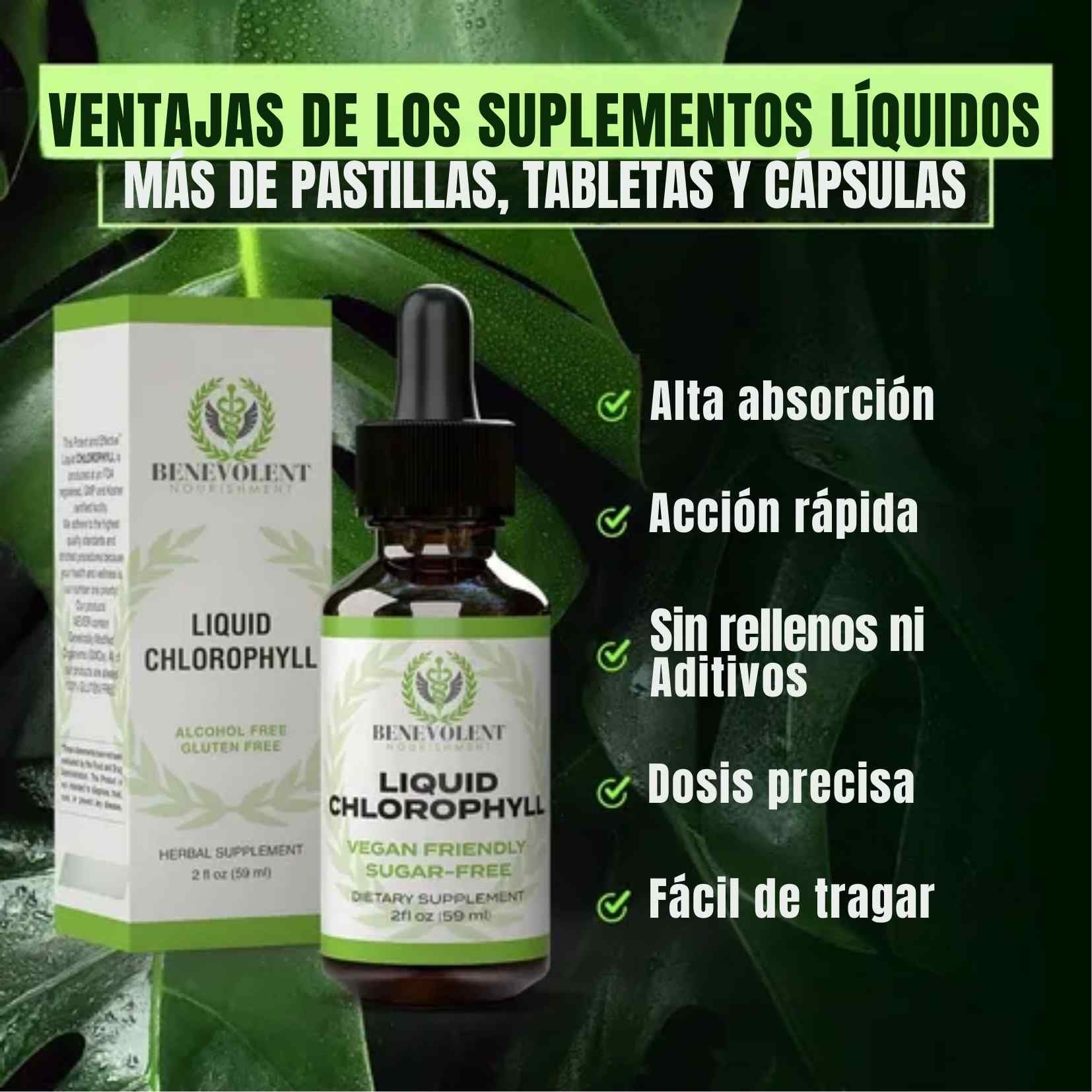 Encabezado