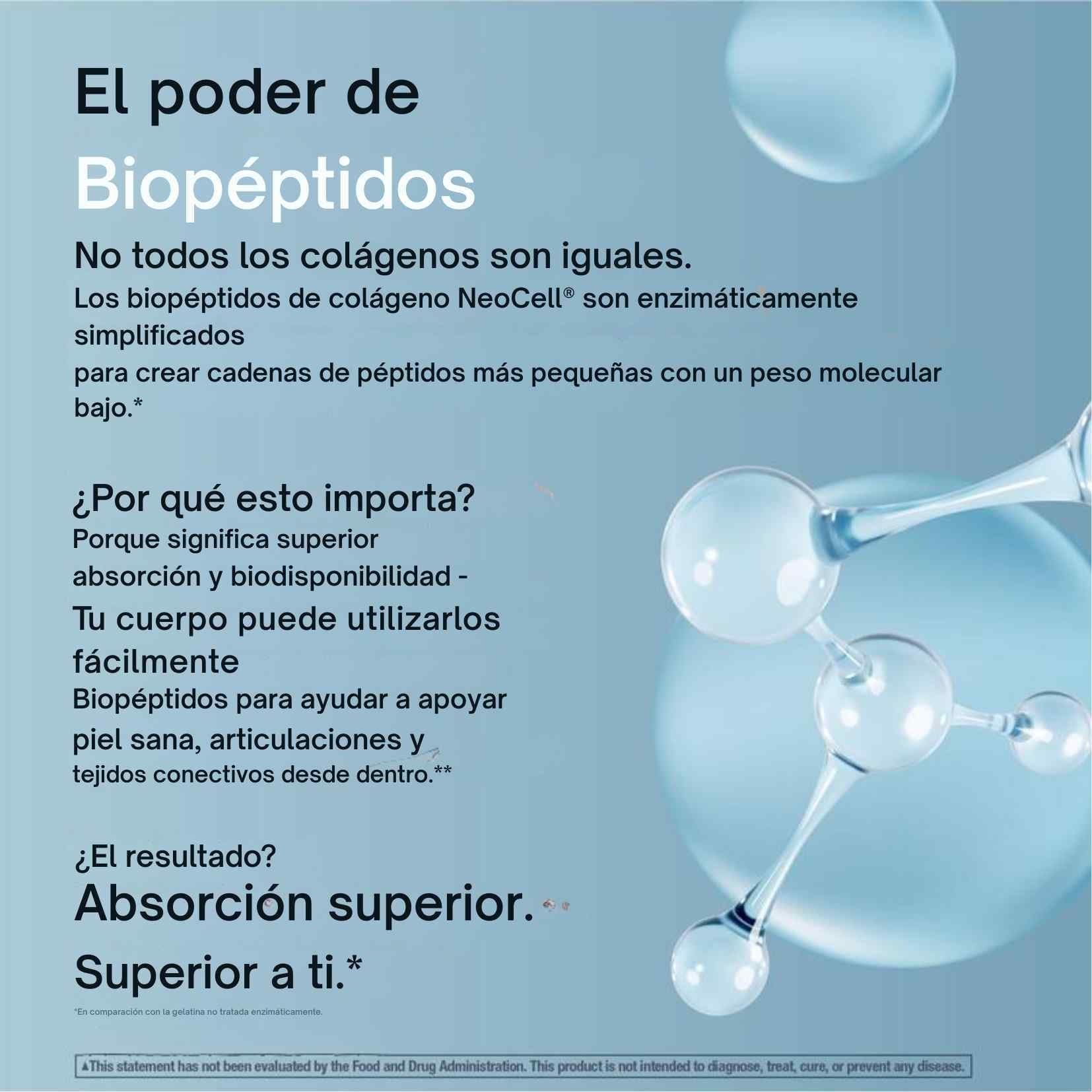 Encabezado
