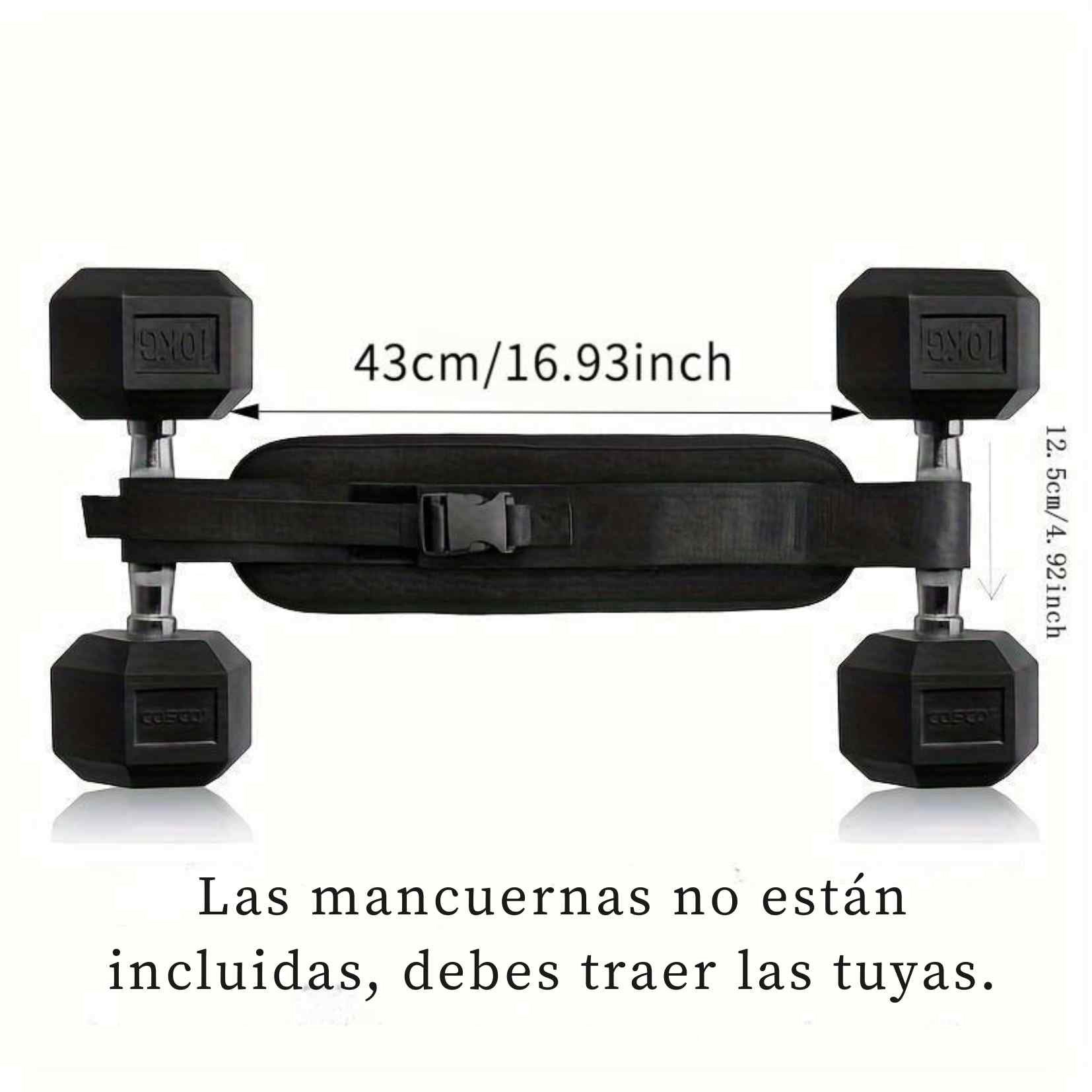 Encabezado