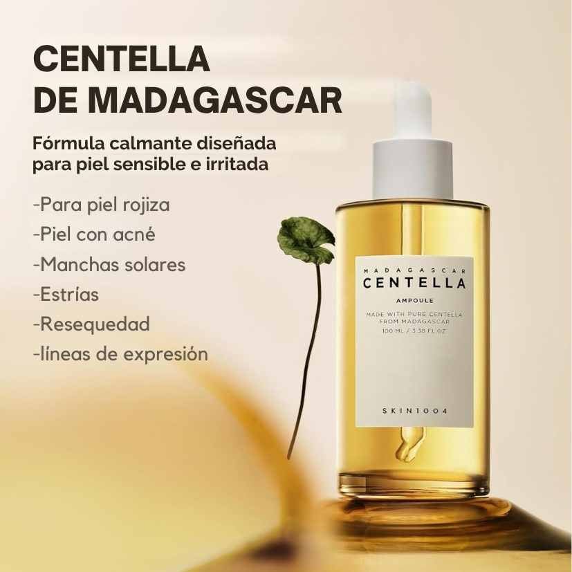 Encabezado