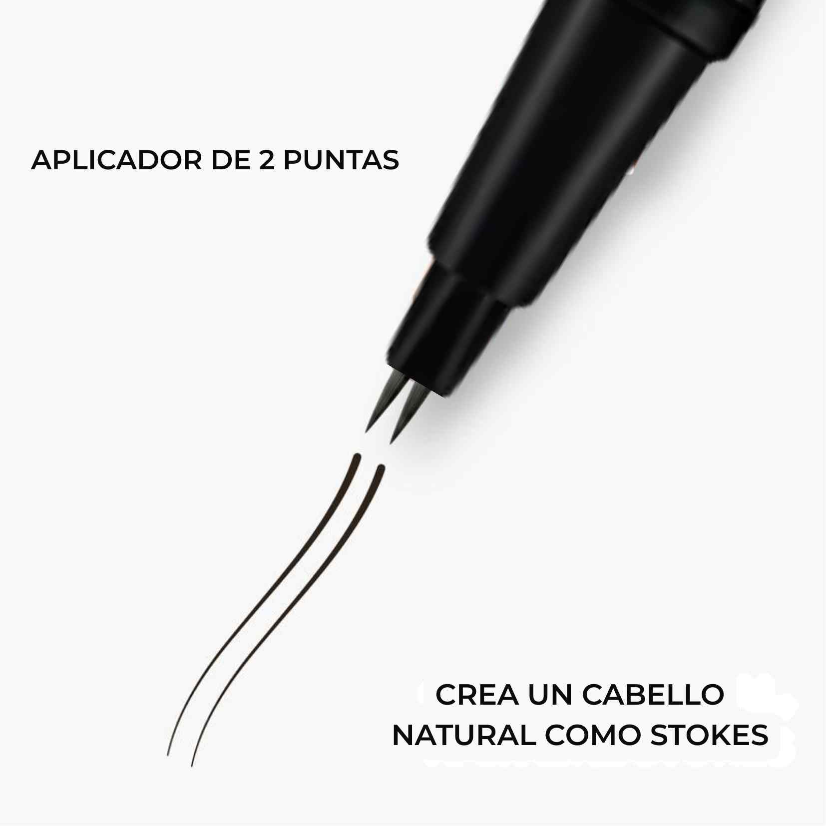 Encabezado