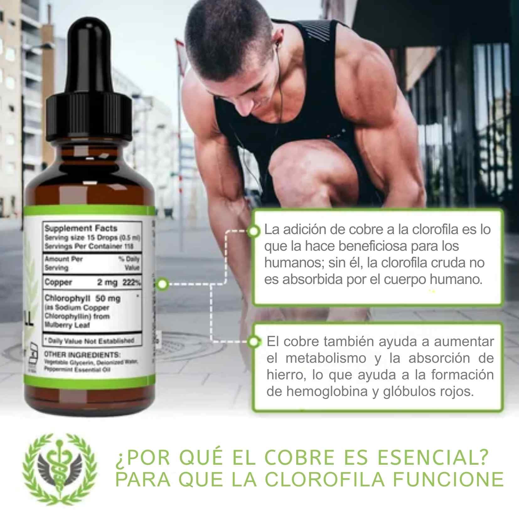 Encabezado