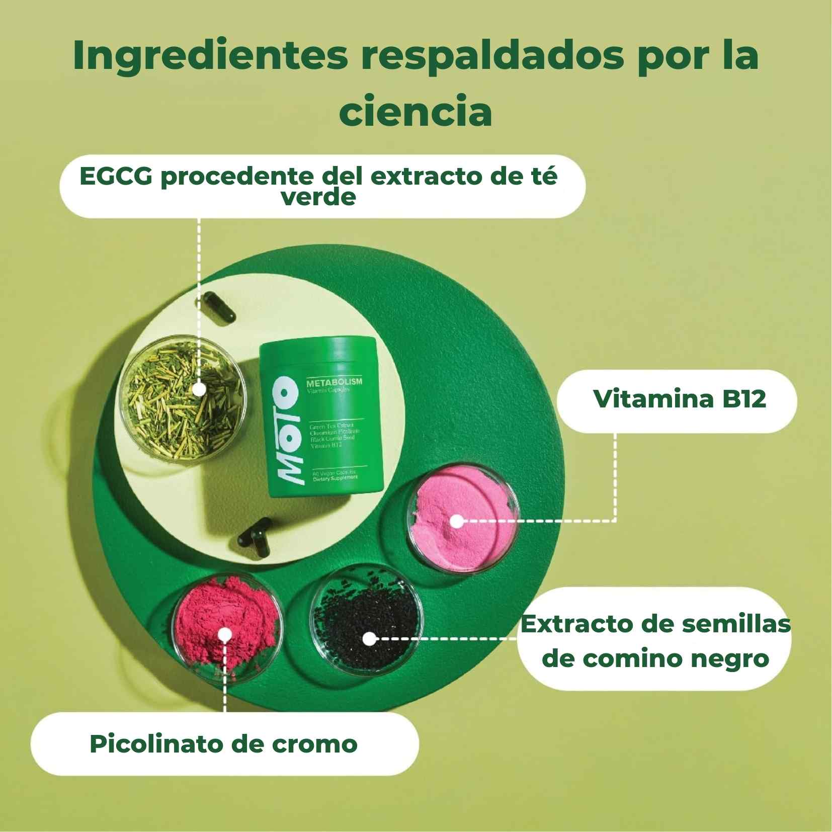 Encabezado