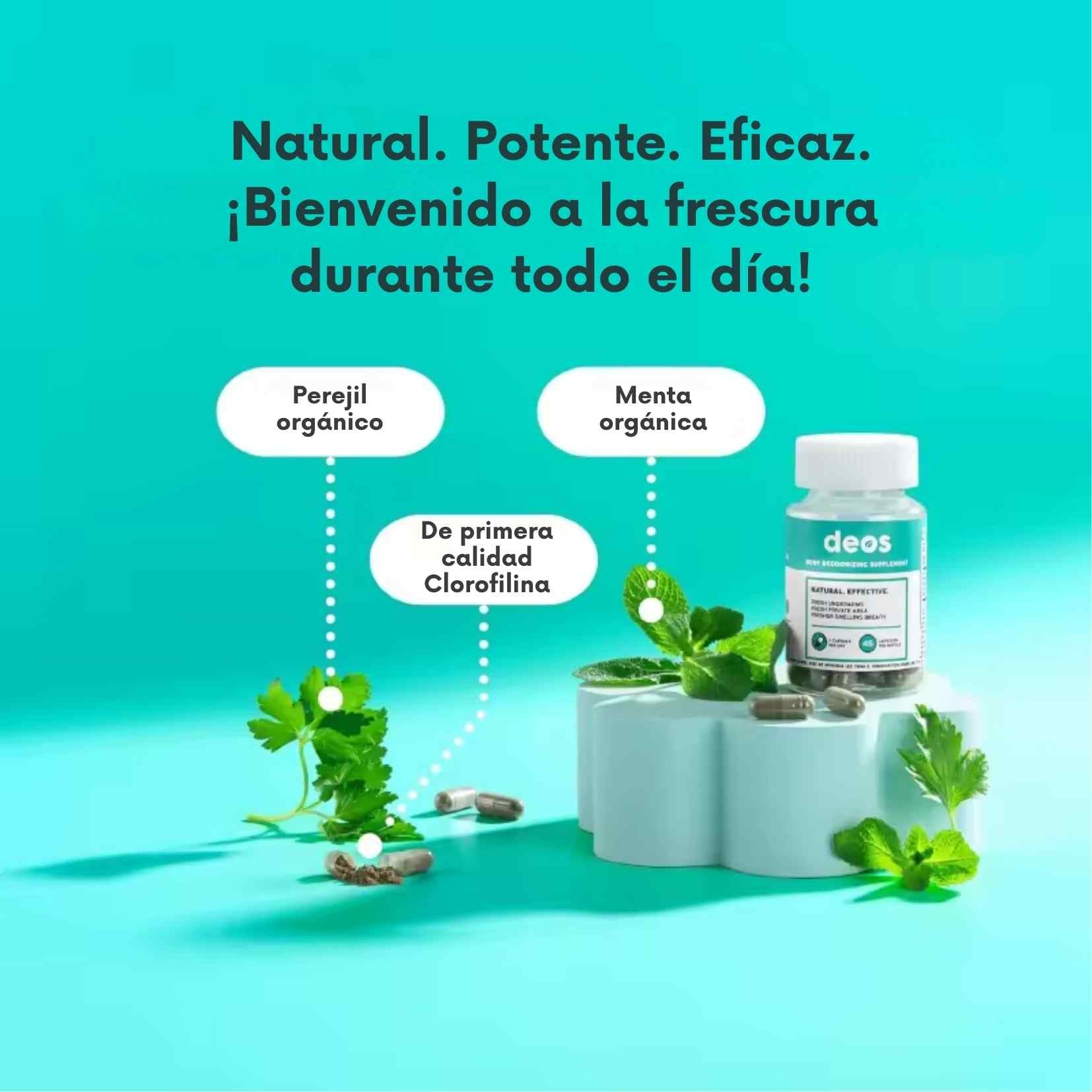 Encabezado