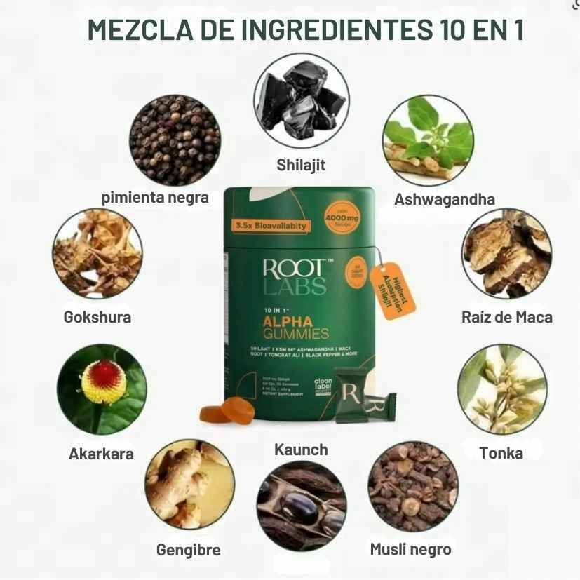 Encabezado