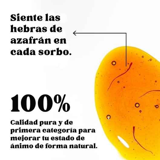 Encabezado