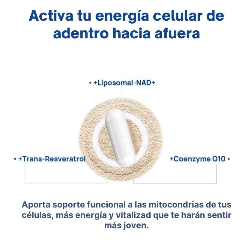 Encabezado