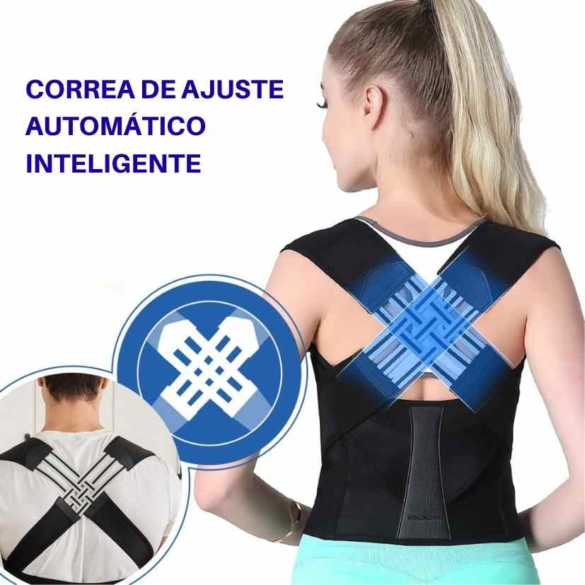Encabezado