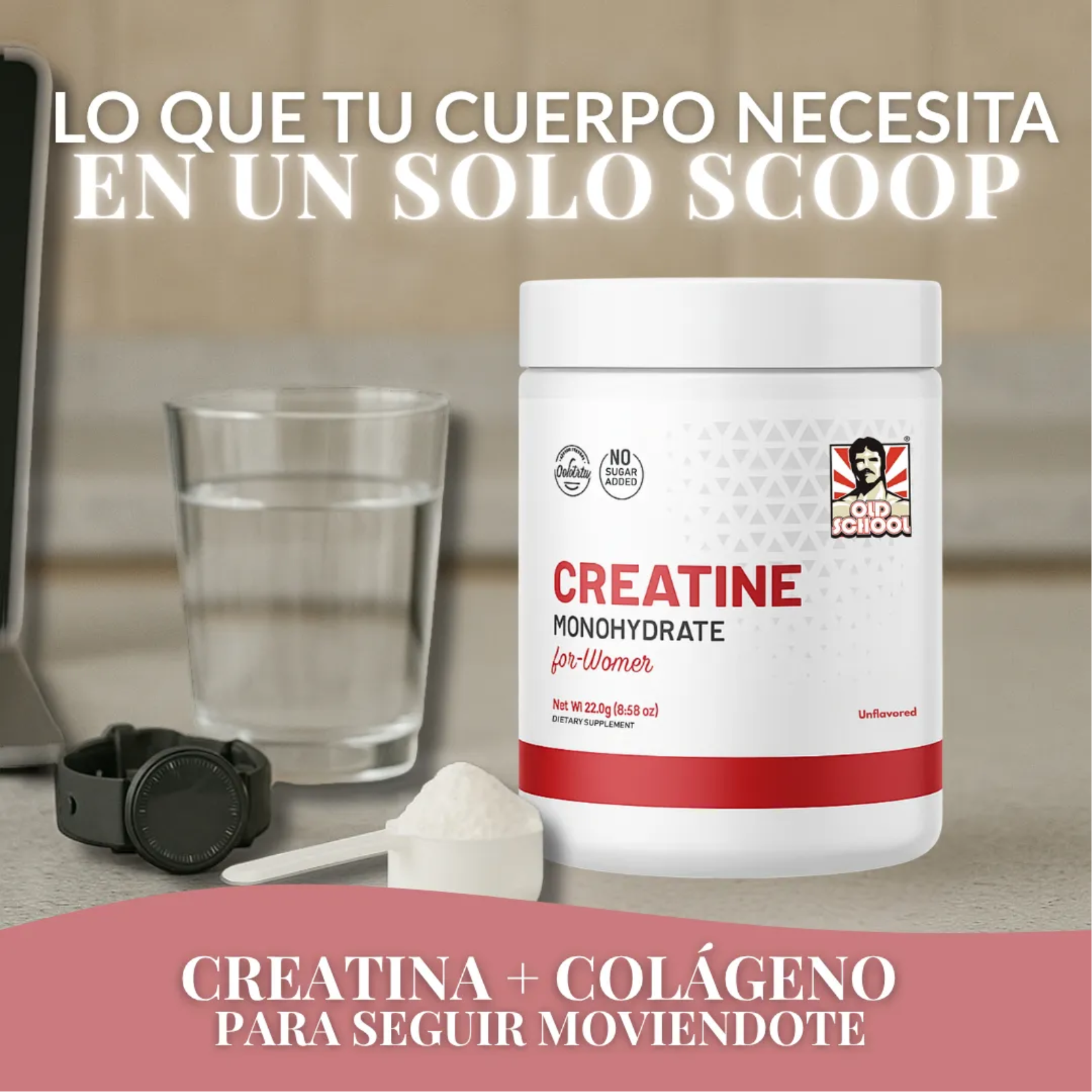 Encabezado