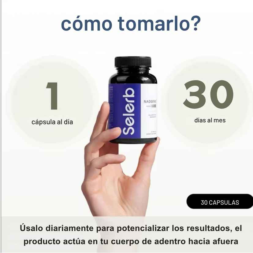 Encabezado