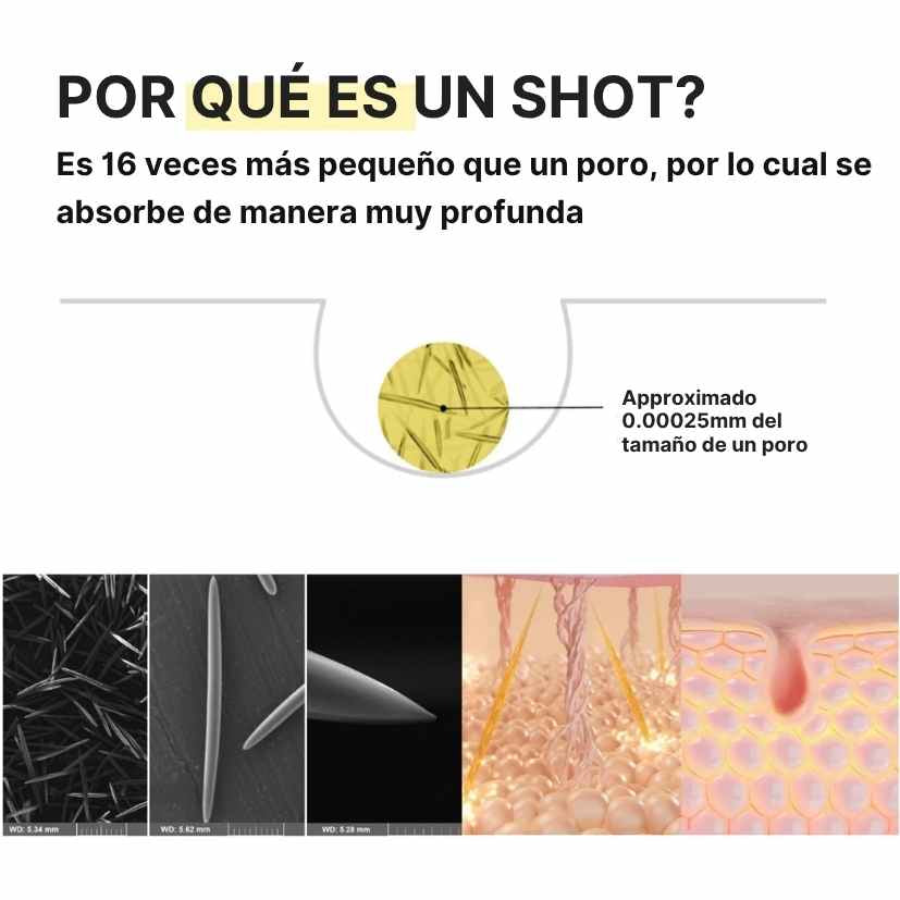 Encabezado