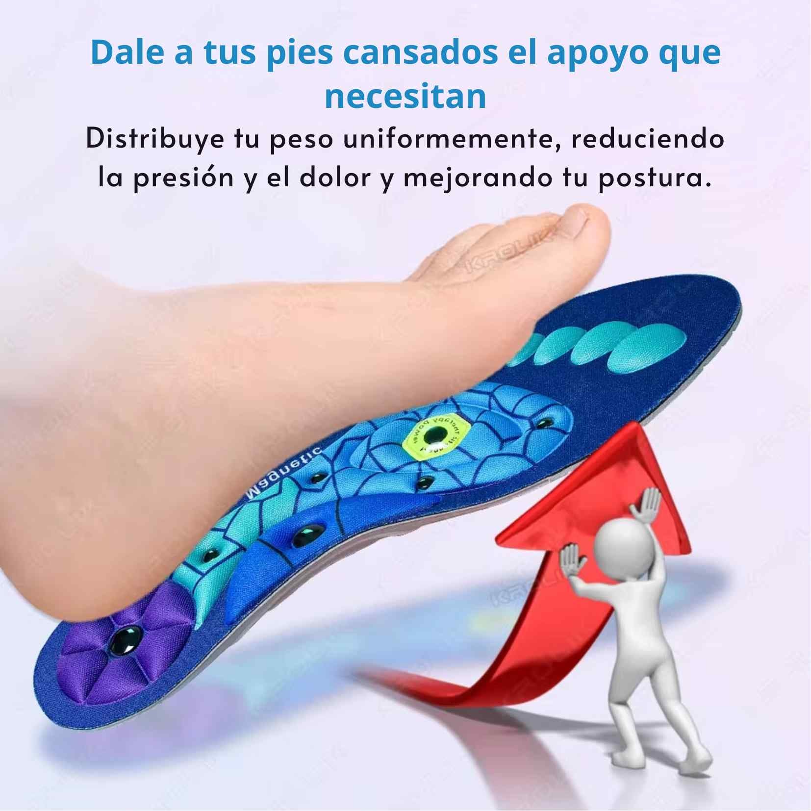 Encabezado