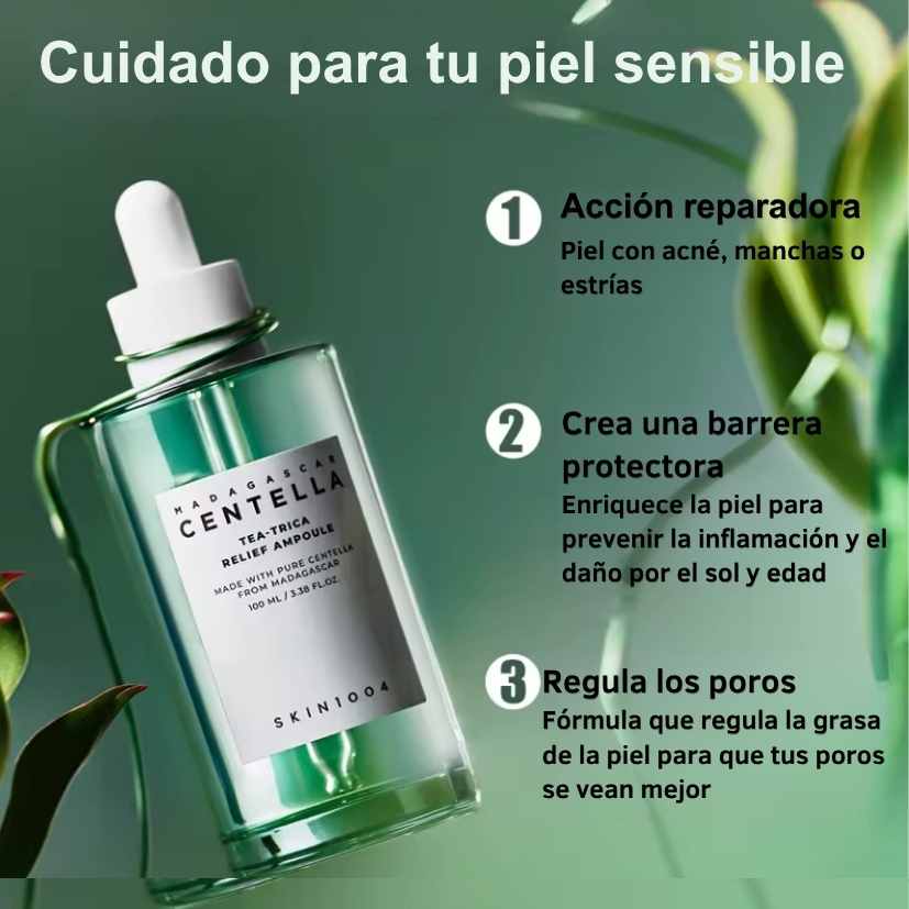 Encabezado