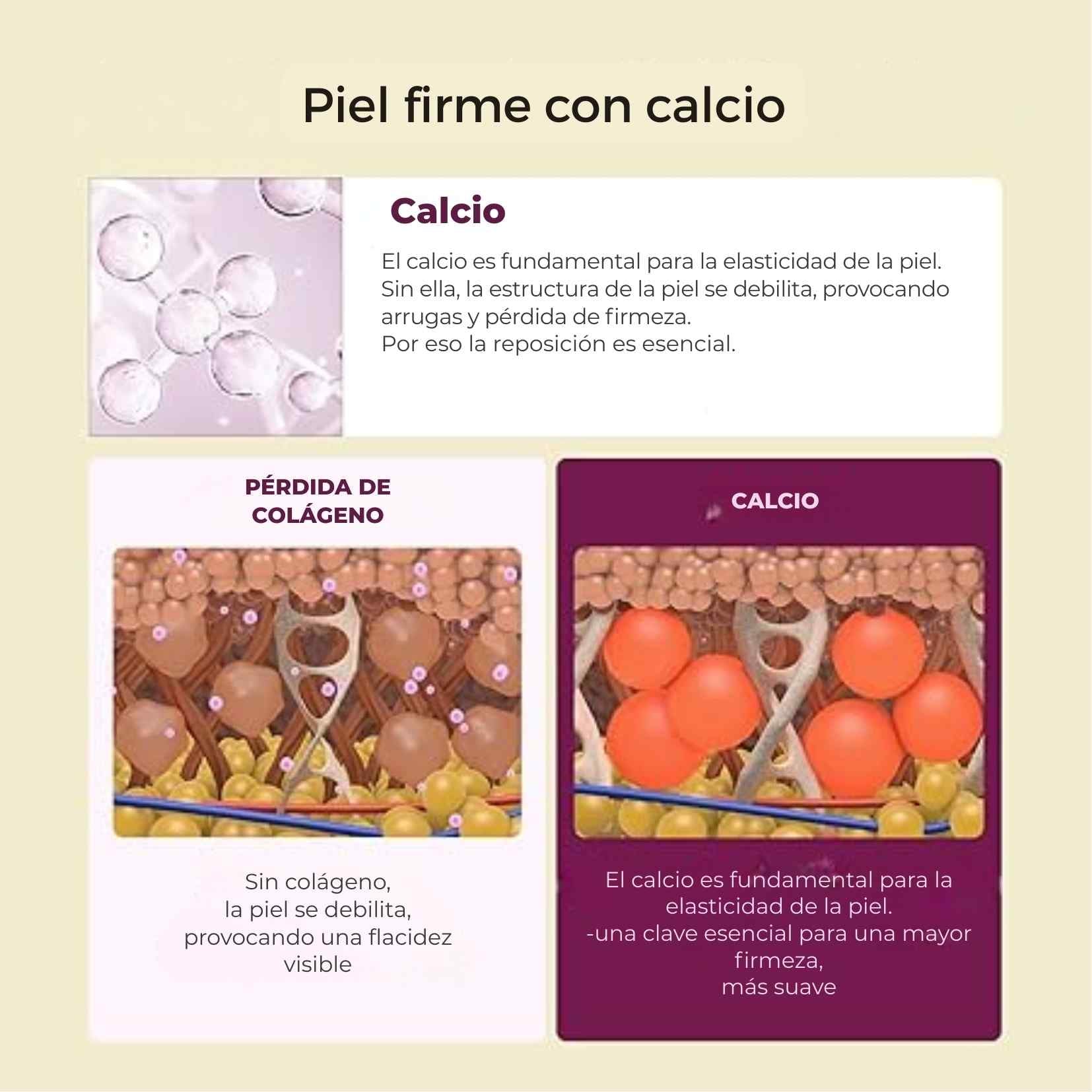 Encabezado