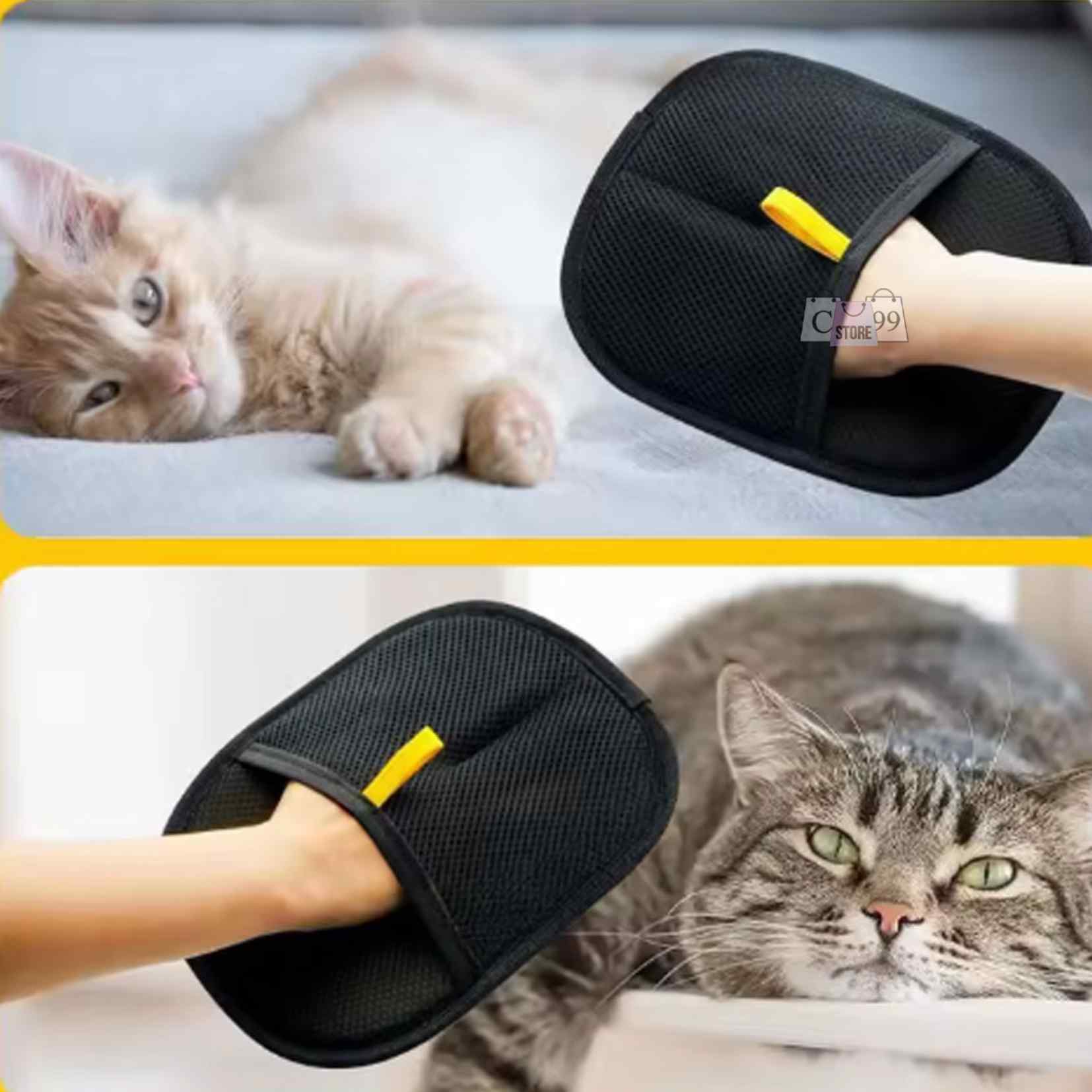 Encabezado