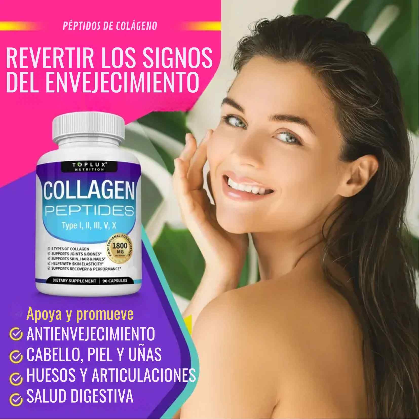 Encabezado