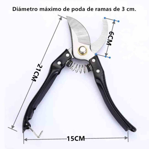 Producto