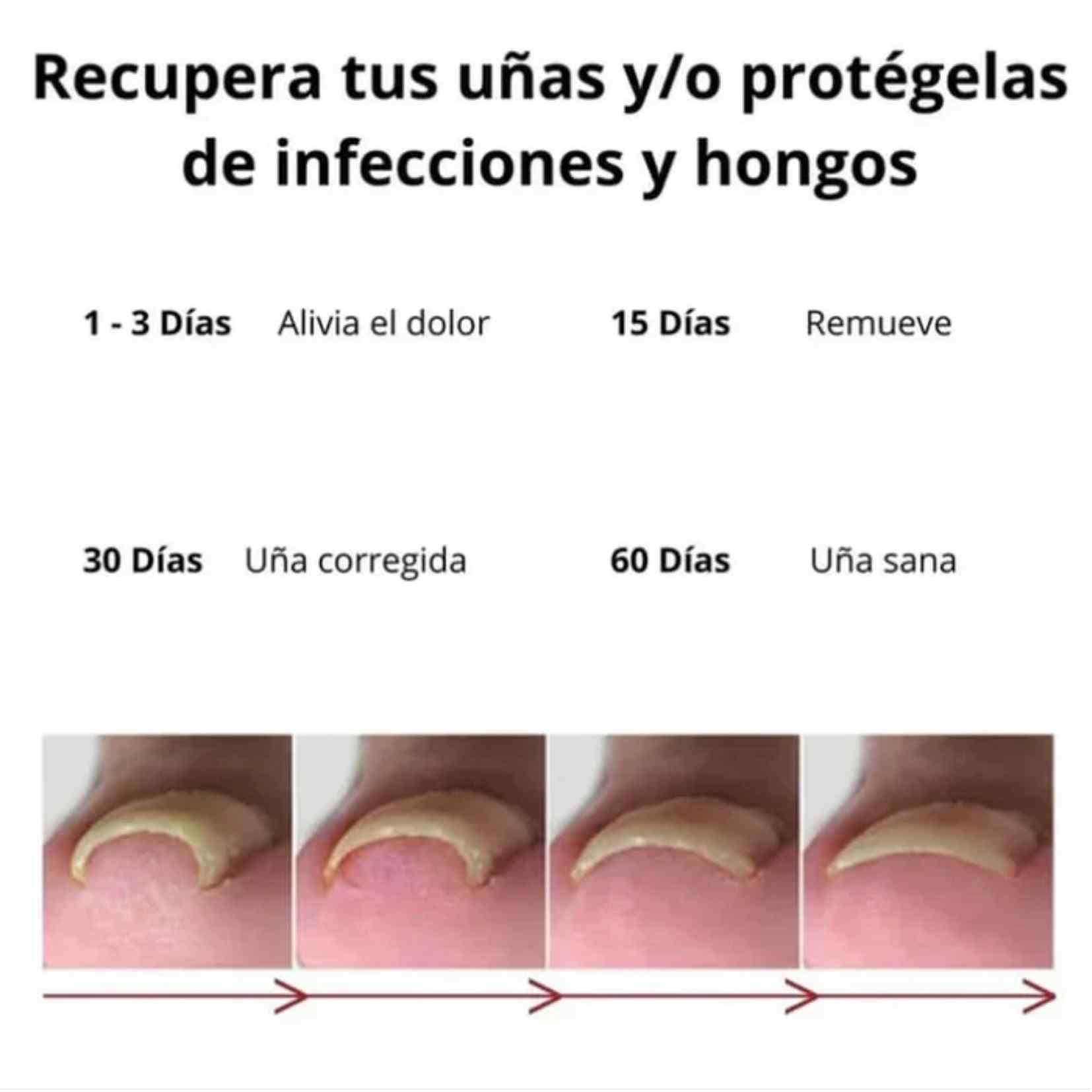 Encabezado