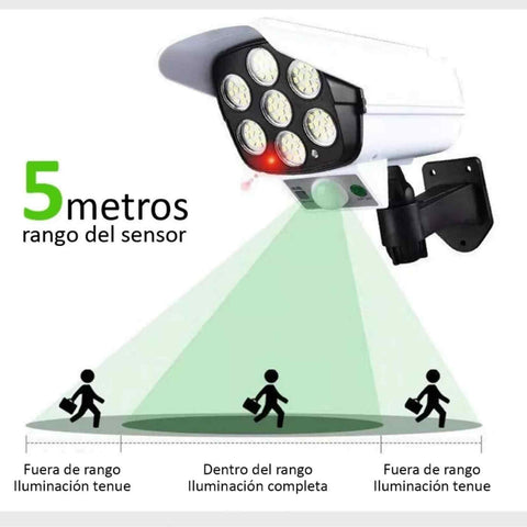 Producto