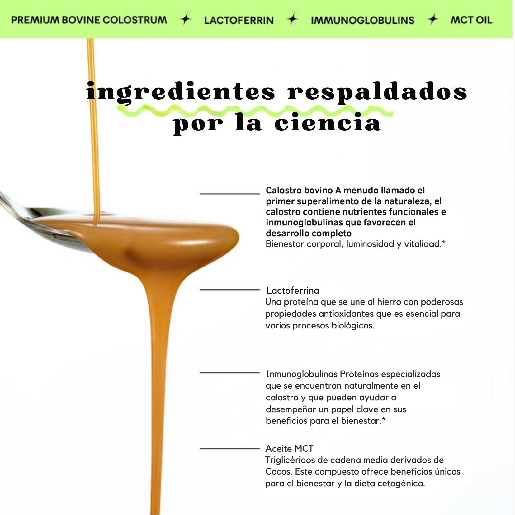 Encabezado