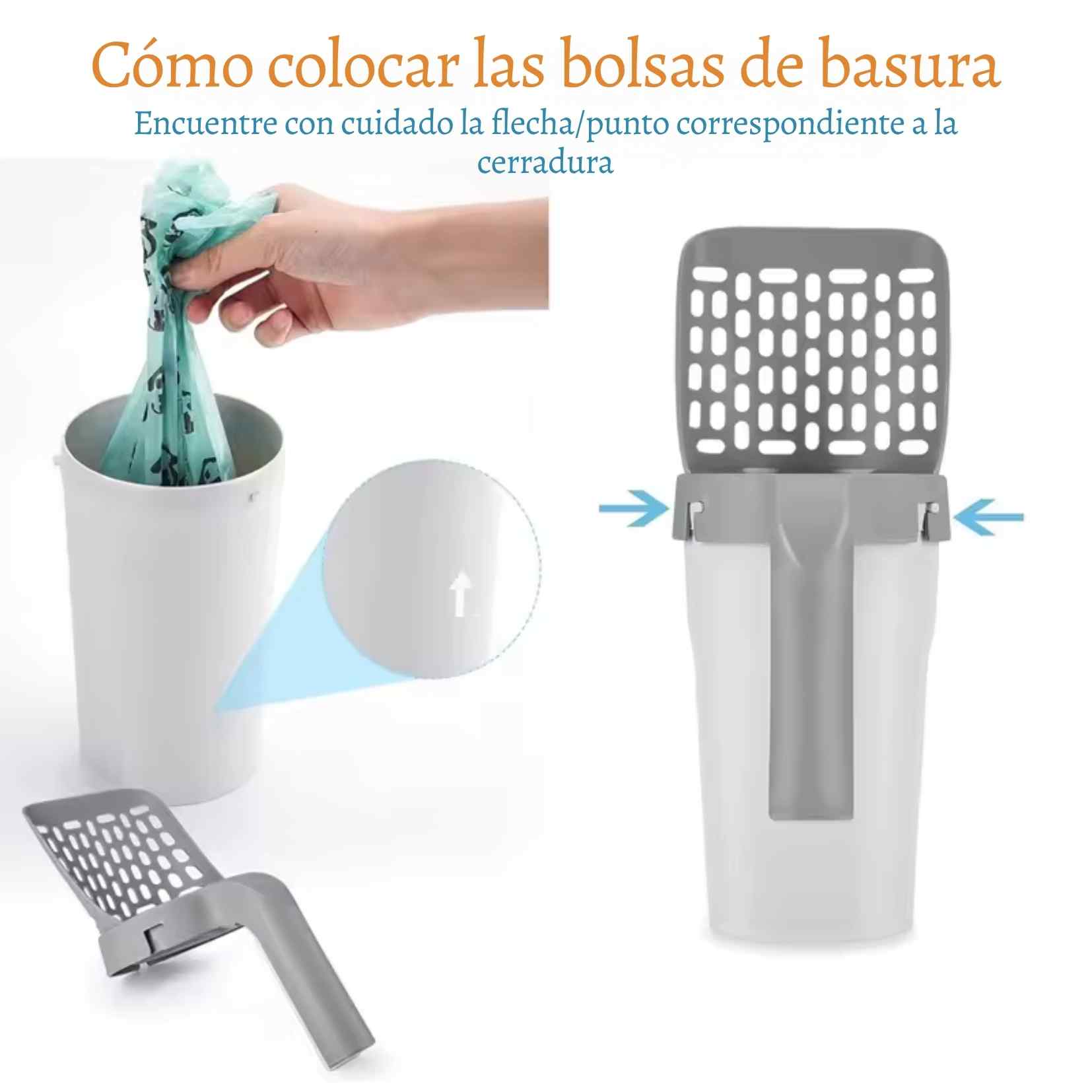 Encabezado