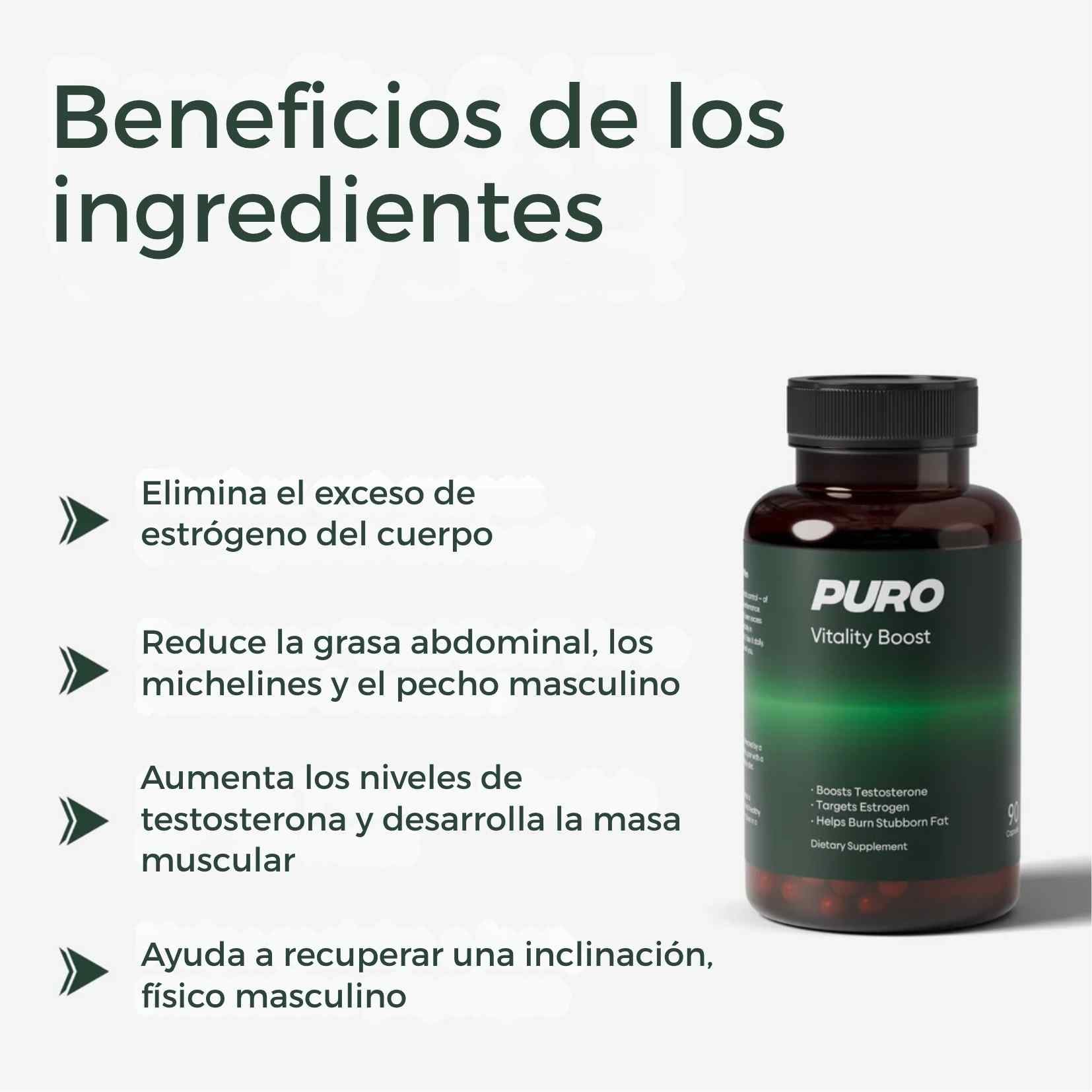 Encabezado