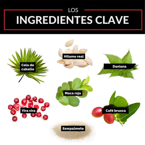 Producto