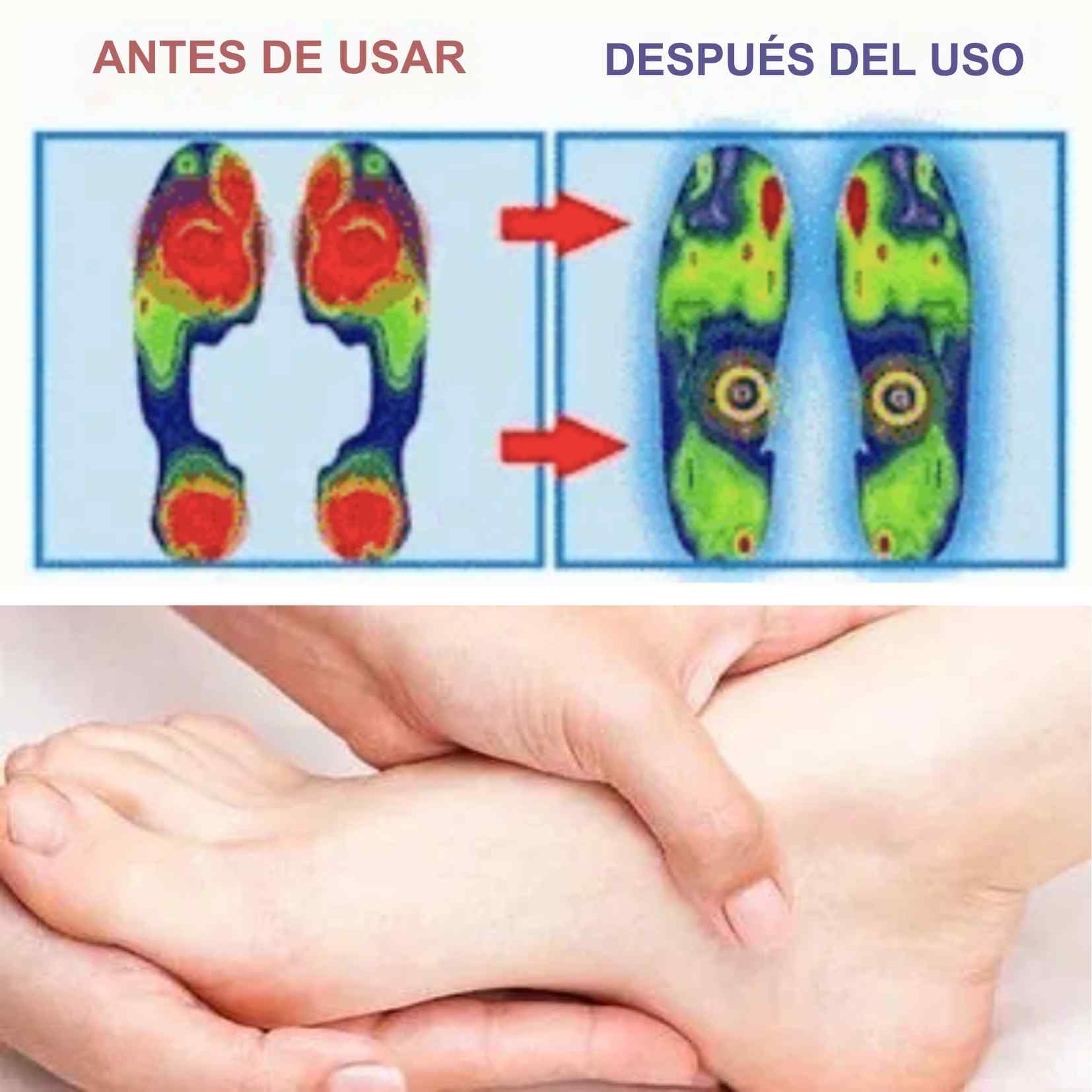 Encabezado