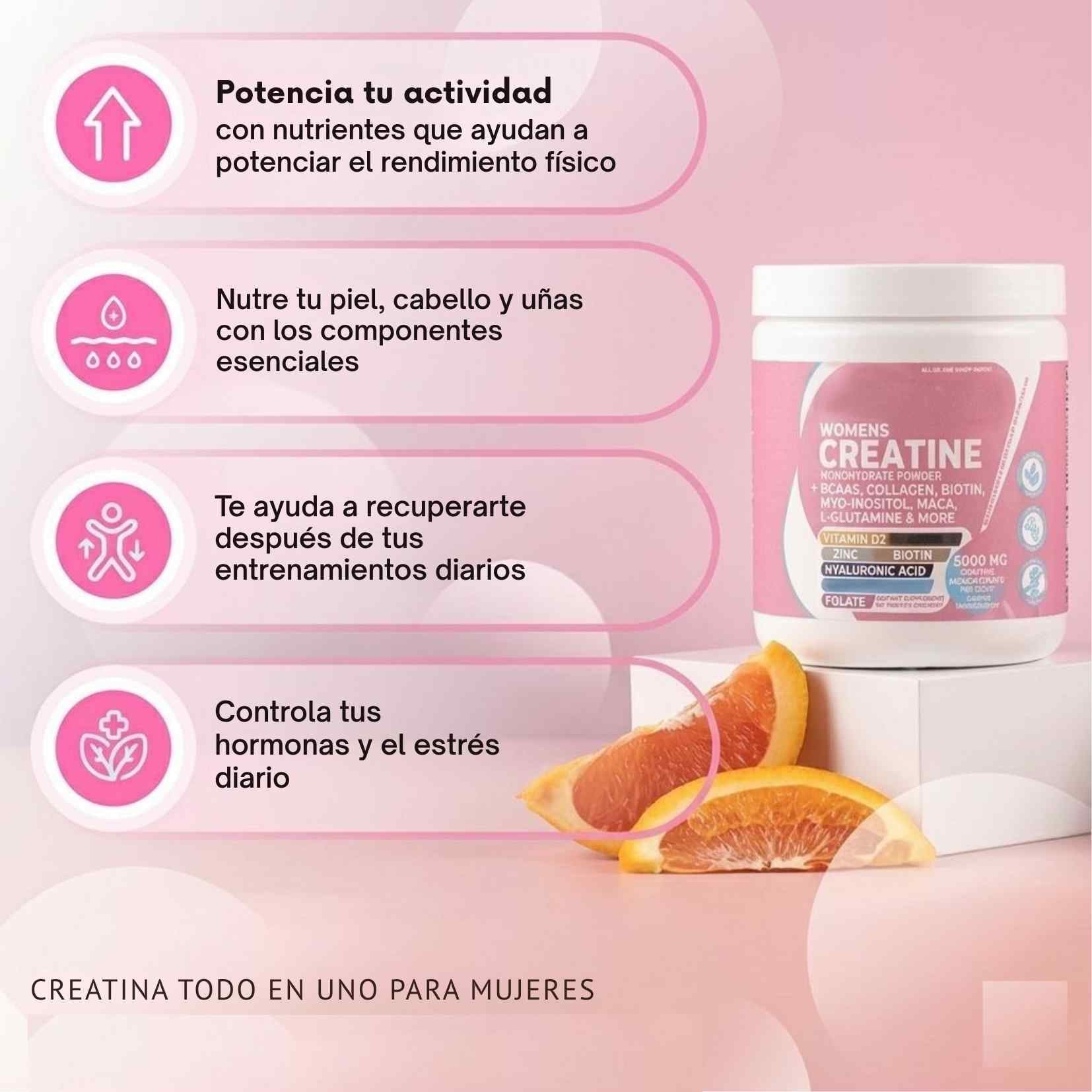 Encabezado